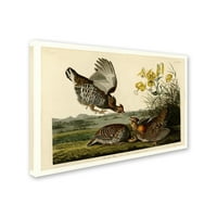Marka Güzel Sanatlar 'Pinnated Grouseplate 186' Audubon'dan Tuval Sanatı