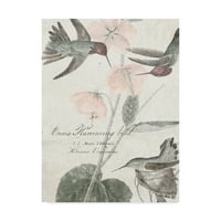 Ticari Marka Güzel Sanatlar 'Soft Hummingbirds I' Studio W'den Tuval Sanatı