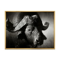 Siyah ve Beyaz Portre Buffalo II Çerçeveli Fotoğraf Tuval Sanat Baskı