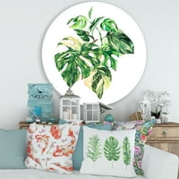 Designart 'Yaz Aylarında Beyaz Üzerine Tropikal Yeşil Yapraklar I' Tropikal Daire Metal Duvar Sanatı - 29'luk Disk
