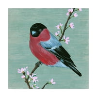 Ticari Marka Güzel Sanatlar 'Kuş ve Çiçekler I' Melissa Wang'dan Tuval Sanatı