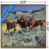 Hayvanlar - Uçaklarda Koşan Atlar Duvar Posteri, 22.375 34
