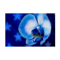 Gordon Semmens 'Kırmızı Beyaz ve Mavi Orkide 07' Tuval Sanatı