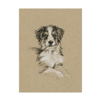 Ticari Marka Güzel Sanatlar 'Breed Sketches IV' Ethan Harper'dan Tuval Sanatı