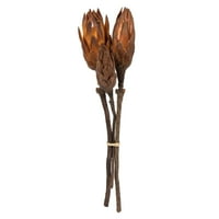 Vickerman 8-12 Mocha Latte Repens - Doğal Gövde -Dökme kasa,, Kurutulmuş