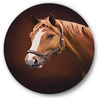 Designart 'Beyaz Burunlu Kahverengi Atın Yakın Çekim Portresi II' Çiftlik Evi Daire Metal Duvar Sanatı - 36'lık Disk