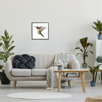 Stupell Industries Uçan Sinek Kuşu Kanatları Gezinip Rahat Boyama Grafik Sanatı Siyah Çerçeveli Sanat Baskı Duvar