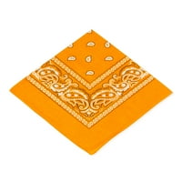 Paisley Baskılı Bandana