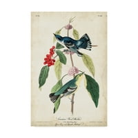 John James Audubon'dan 'Cerulean Wood Warbler' Marka Güzel Sanatlar Tuval Sanatı