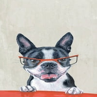 Marmont Hill Dog Prof Sarılmış Tuval Üzerine Resim Baskısı