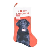 Tatil Zamanı Siyah Labrador Çorabımı Seviyorum