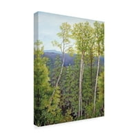Carol J Rupp tarafından Marka Güzel Sanatlar 'Orman Yolu Aspen' Tuval Sanatı