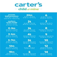 Carter'ın Çocuğum Bebek Kız ve Yürümeye Başlayan Kız Gri Seti, Boyutları 12M-5T