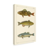 Pretre tarafından Marka Güzel Sanatlar 'Tatlı Su Balığı I' Tuval Sanatı