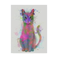 Fab Funky tarafından Marka Güzel Sanatlar 'Kedi Gökkuşağı Sıçrama 4' Tuval Sanatı