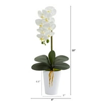 23 inç. Beyaz Vazoda Phalaenopsis Orkide Yapay Aranjmanı
