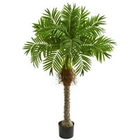 Neredeyse doğal 58 Robellini Palmiye Yapay Ağaç