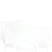 Amerika Mobilyaları Landis Kolsuz Tezgah Yüksekliği Sandalyeler - 2'li Set, Beyaz