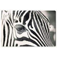 Wynwood Stüdyo Hayvanlar Duvar Sanatı Tuval Baskılar 'Doğal Stripes' Hayvanat Bahçesi ve Vahşi Hayvanlar-Siyah, Beyaz