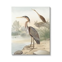 Stupell Endüstrileri Vahşi Balıkçıl Kuşlar Tünemiş Doğal Çimenli Dere Resim Galerisi Sarılmış Tuval Baskı Duvar Sanatı,