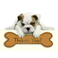 Her Gün Kağıt Teşekkür Kartı Setleri - Bulldog Köpek Yavrusu - Kartlar ve Zarflar
