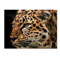 Ticari Marka Güzel Sanatlar 'Amur Leopard Copy' Lori Hutchison'dan Tuval Sanatı