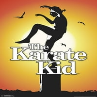 Karate Kid - Tek Sayfalık Duvar Posteri, 22.375 34