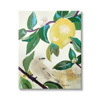 Stupell Industries Canlı Sarı Limon Narenciye Meyve Kuş Tünemiş resim Galerisi sarılmış tuval Baskı duvar Sanatı,