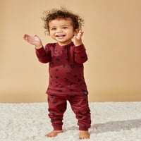 Küçük Yıldız Organik Bebek ve Yürümeye Başlayan Çocuk Uzun Kollu ve Uzun Pantolon Pijama, Boyut Ay-5T