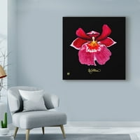 Ginny Joyner'den 'Vivid Orchid VIII' Marka Güzel Sanatlar Tuval Sanatı